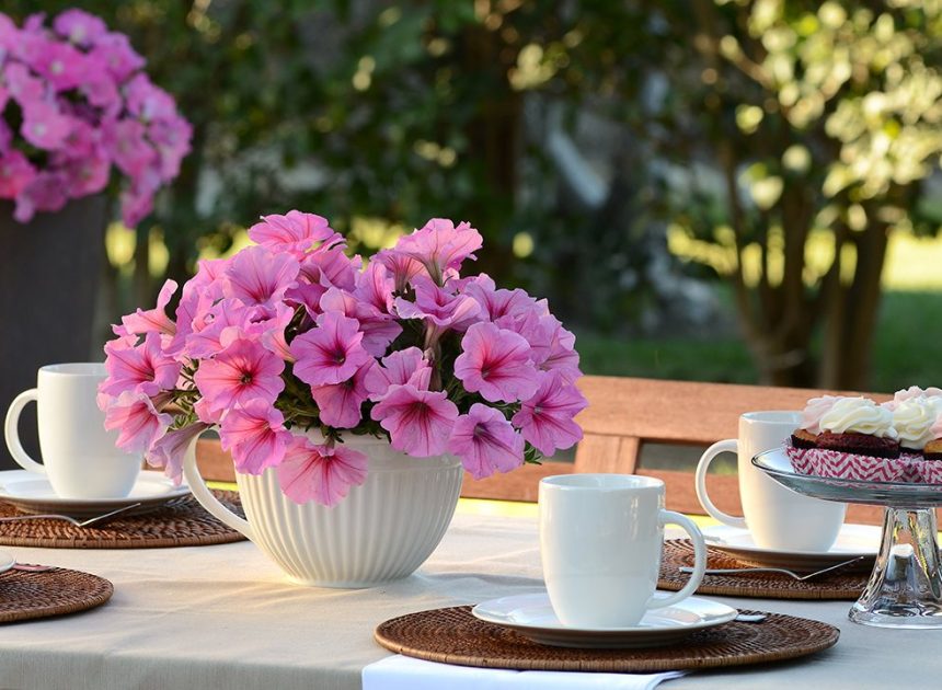Elevate outdoor entertaining with petunias and pansies