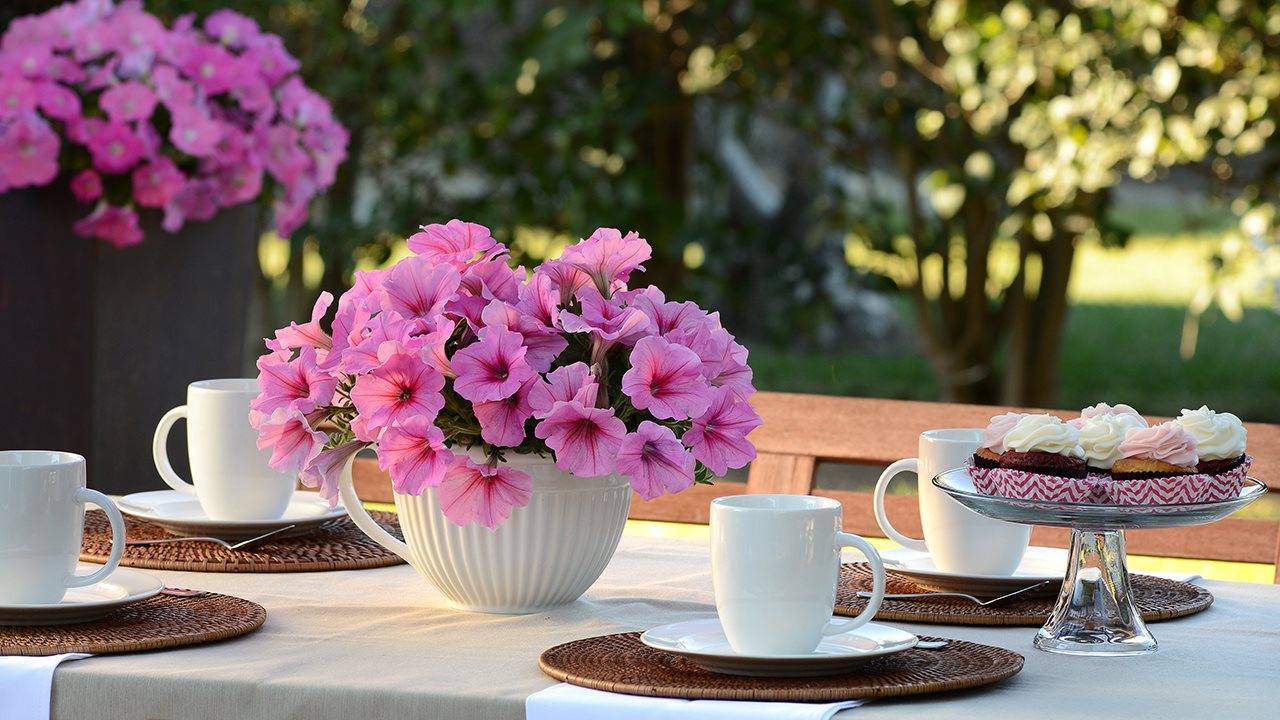 Elevate outdoor entertaining with petunias and pansies
