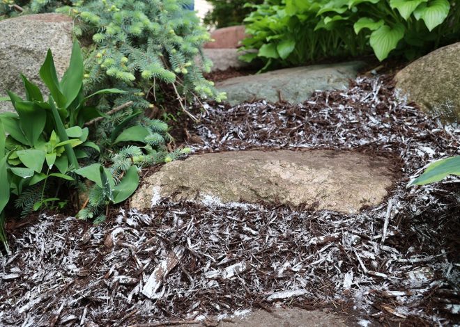 Low-maintenance landscaping tips to keep your yard looking great all season
