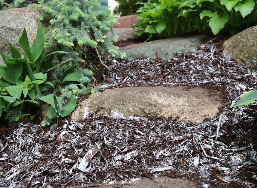 Low-maintenance landscaping tips to keep your yard looking great all season