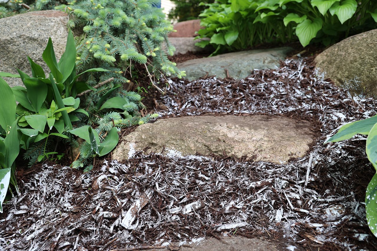 Low-maintenance landscaping tips to keep your yard looking great all season