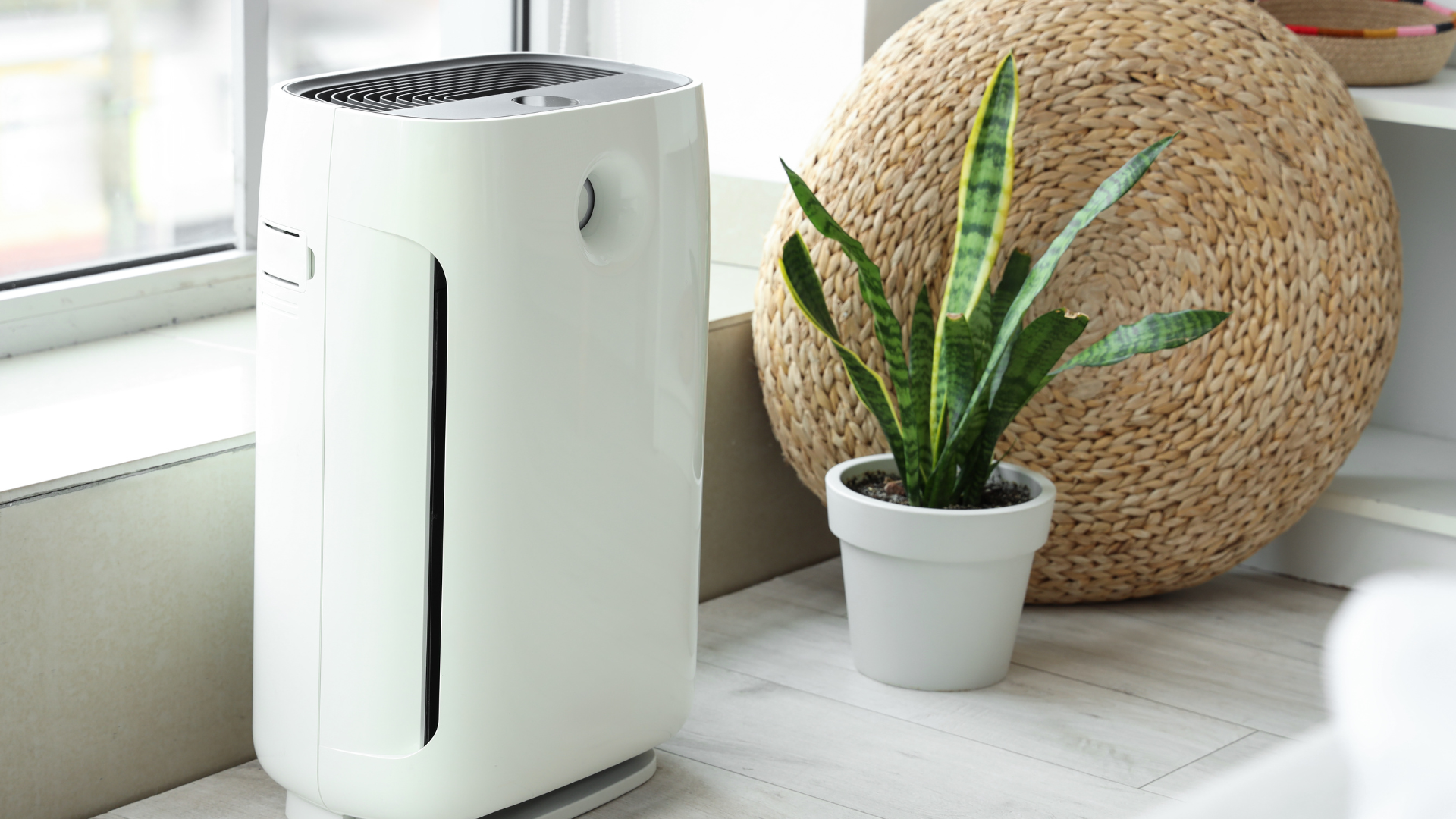 The Surprising Benefits of Air Purifiers for Better Living