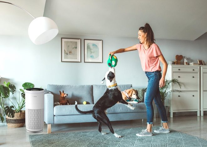 Breathe easier at home and on the road with these 5 tips