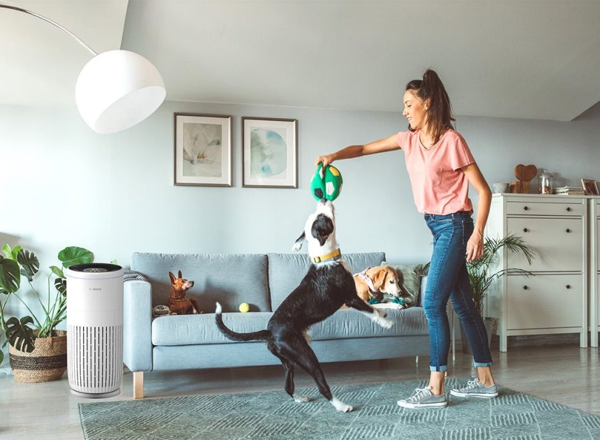 Breathe easier at home and on the road with these 5 tips