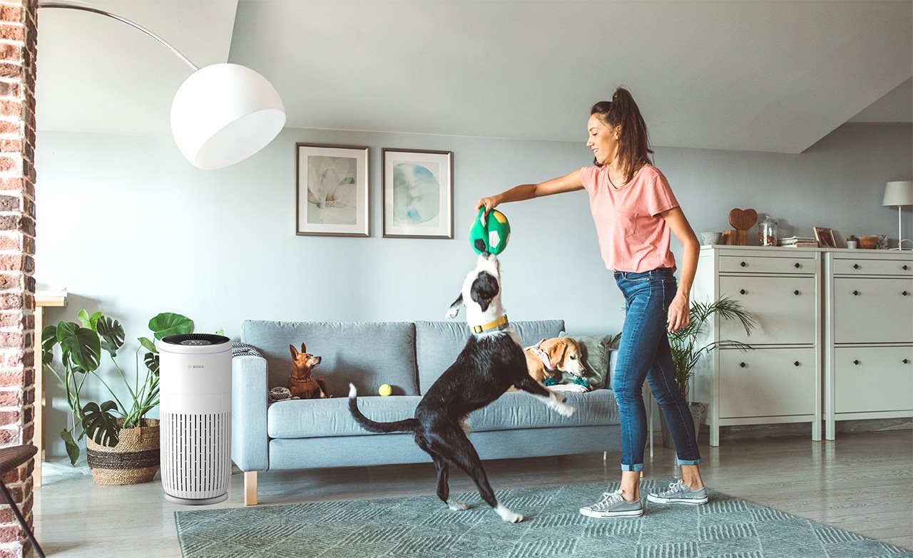 Breathe easier at home and on the road with these 5 tips