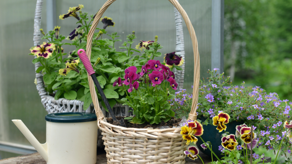 Get creative with a potting party