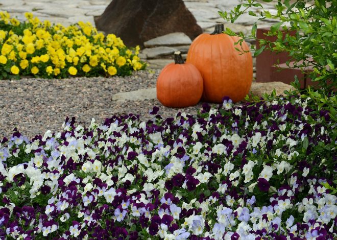 Bring colorful drama to fall gardening and outdoor decor